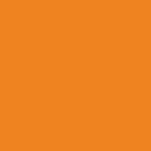 British Standards BS 381C Light Orange 557 Aerosol Spray Paint