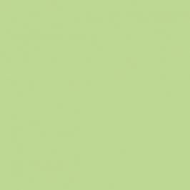 Nil Color Code British Standards BS 381C Eau De Nil 216 Aerosol Spray Paint 1K/2K