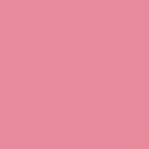 RAL 3015 Light Pink Aerosol Spray Paint