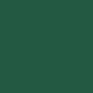 RAL 6016 Turquoise Green Aerosol Spray Paint