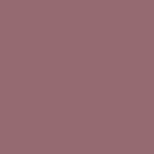 RAL 010 50 20