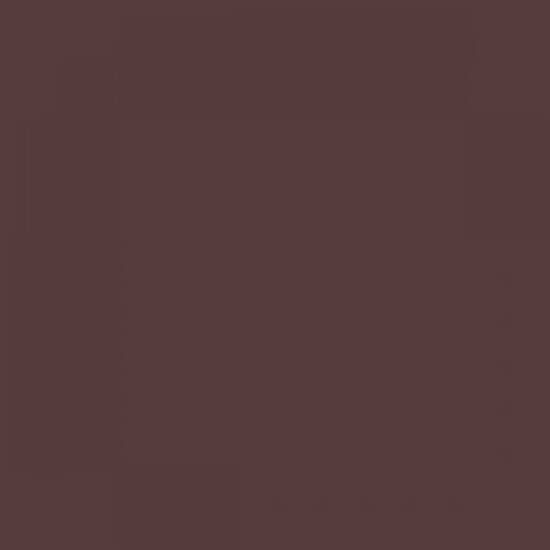 RAL 020 30 10 Aerosol Spray Paint