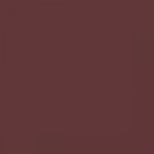 RAL 020 30 20 Aerosol Spray Paint