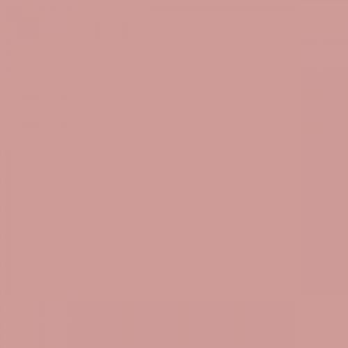 RAL 030 70 20  Dull apricot Aerosol Spray Paint 1K/2K 400ml