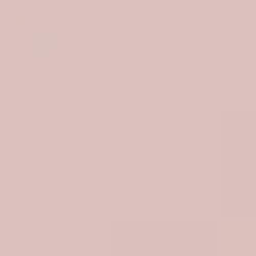 RAL 030 80 10  Salt pink Aerosol Spray Paint 1K/2K 400ml