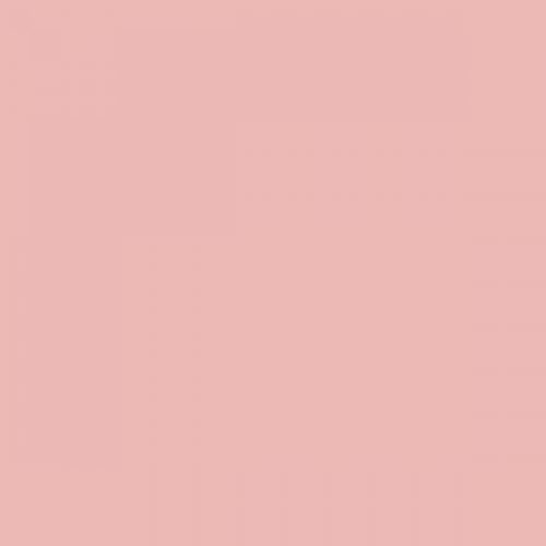 RAL 030 80 20  Magnolia pink Aerosol Spray Paint 1K/2K 400ml