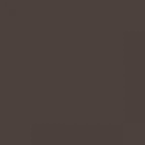 RAL 040 30 05  Basalt black Aerosol Spray Paint 1K/2K 400ml