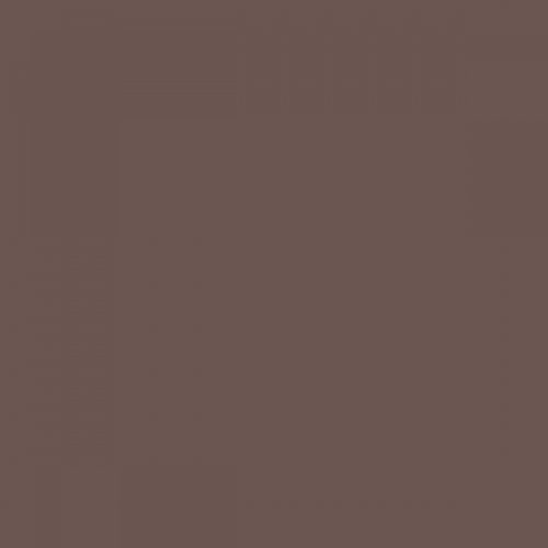 RAL 040 40 10  Somali brown Aerosol Spray Paint 1K/2K 400ml