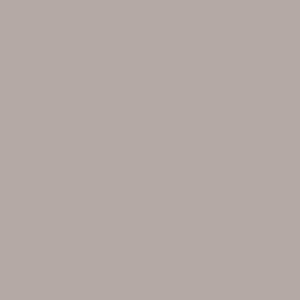 RAL 040 70 05
Passepartout grey Aerosol Spray Paint 1K/2K 40oml