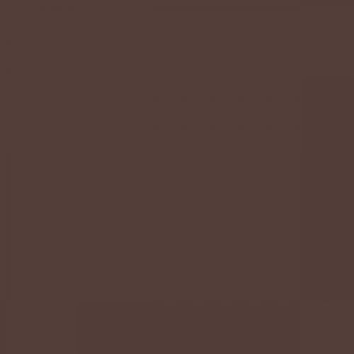 RAL 050 30 10  Obsidian brown Aerosol Spray Paint 1K/2K 400ml