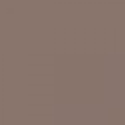 RAL 050 50 10  Teakwood brown Aerosol Spray Paint 1K/2K 400ml