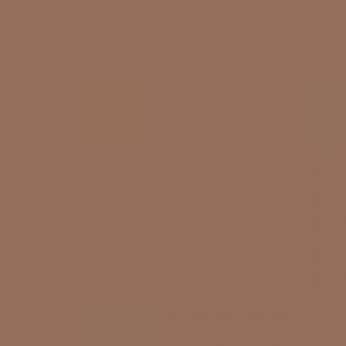 RAL 050 50 20  Milk coffee brown Aerosol Spray Paint 1K/2K 400nl