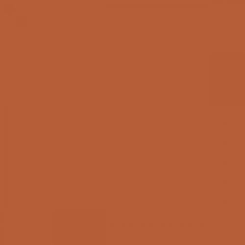 RAL 050 50 50  Gold varnish brown Aerosol Spray Paint 1K/2K 400ml