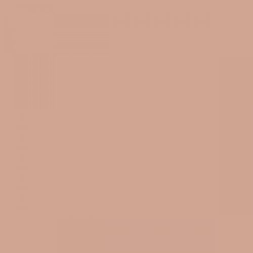 RAL 050 70 20  Amber grey Aerosol Spray Paint 1K/2K 400ml