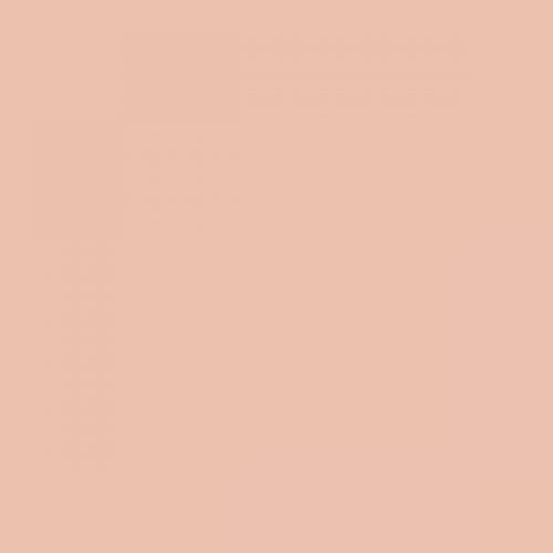 RAL 050 80 20  Soft orange Aerosol Spray Paint 1K/2K 400ml