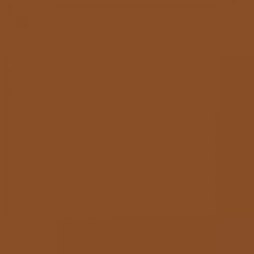 RAL 060 40 40  Plane brown Aerosol Spray Paint 1K/2K 400ml