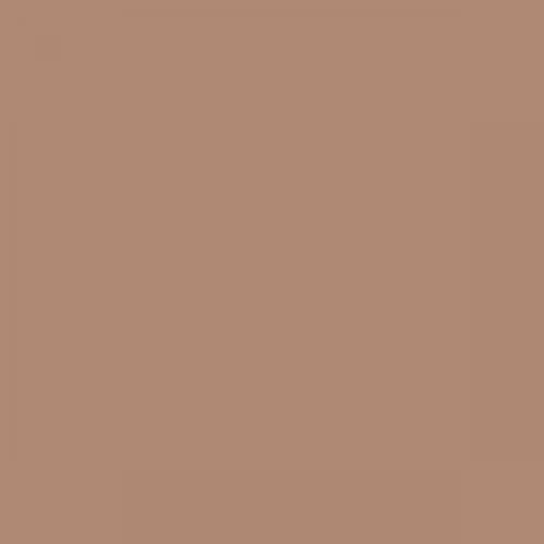 RAL 060 60 20  Light topaz ochre Aerosol Spray Paint 1K/2K 400ml