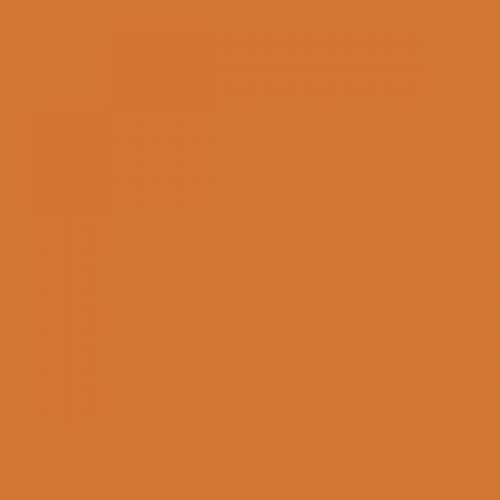 RAL 060 60 60  Bitter orange Aerosol Spray Paint 1K/2K 400ml