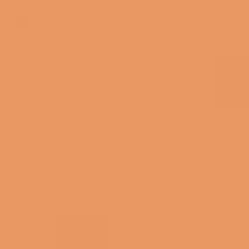 RAL 060 70 50  Topaz yellow Aerosol Spray Paint 1K/2K 400ml