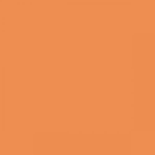 RAL 060 70 60  Melon orange Aerosol Spray Paint 1K/2K 400ml