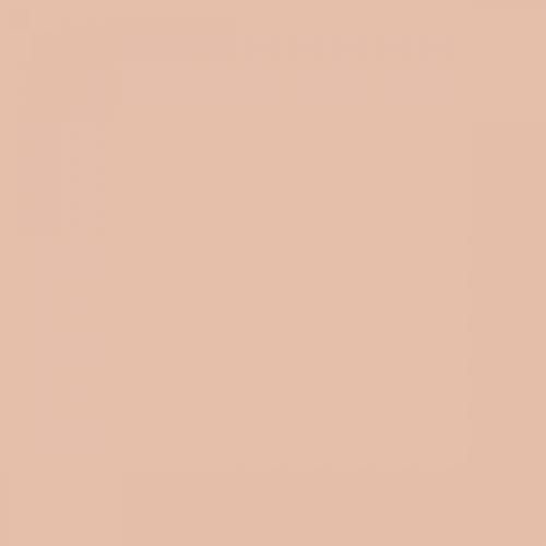 RAL 060 80 20  Biscuit beige Aerosol Spray Paint 1K/2K 400ml