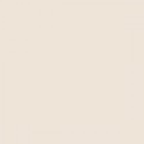 RAL 060 90 05  Grain white Aerosol Spray Paint 1K/2K 400ml