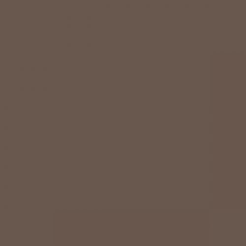 RAL 070 40 10  Mink brown Aerosol Spray Paint 1K/2K 400ml