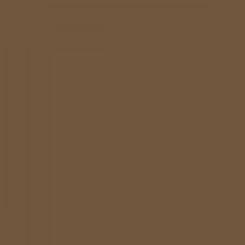 RAL 070 40 20  Huckleberry brown Aerosol Spray Paint 1K/2K 400ml