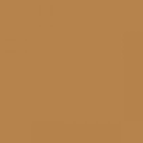 RAL 070 60 40  Grain brown Aerosol Spray Paint 1K/2K 400ml