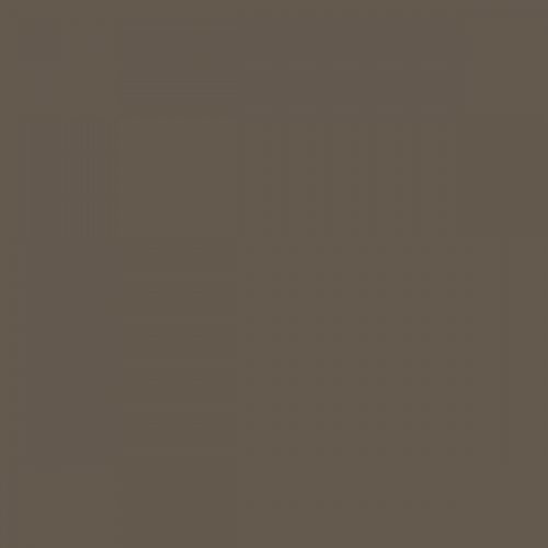 RAL 075 40 10 Tree dark brown  Aerosol Spray Paint 1K/2K 400ml