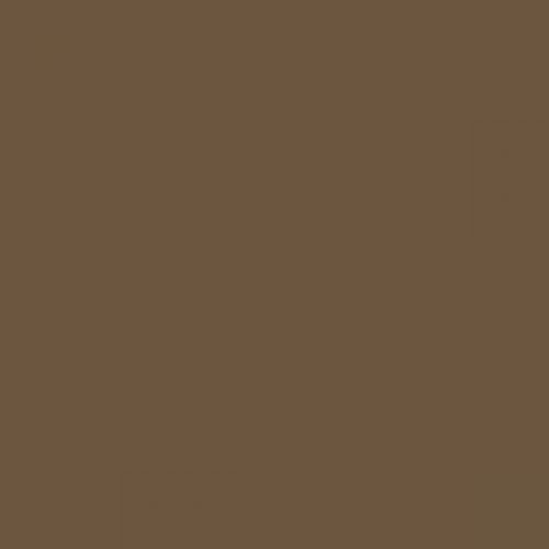 RAL 075 40 20  Caraway brown Aerosol Spray Paint 1K/2K 400ml