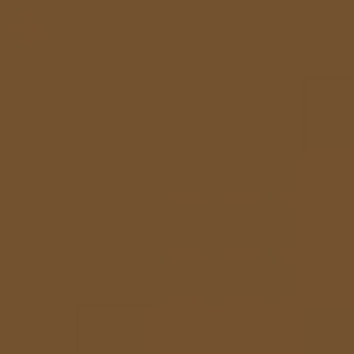 RAL 075 40 30  Bark brown Aerosol Spray Paint 1K/2K 400ml
