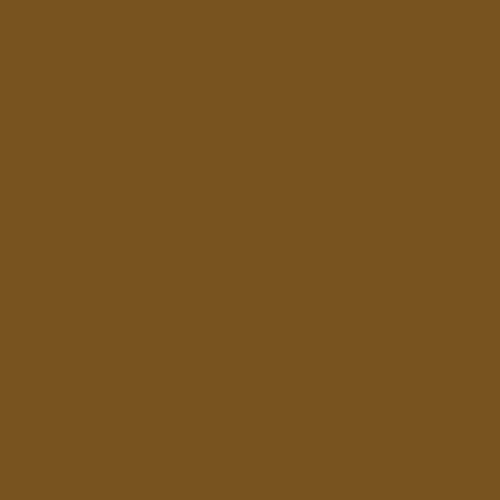 RAL 075 40 38  Lizard brown Aerosol Spray Paint 1K/2K 400ml