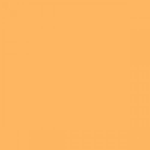 RAL 075 80 60  Carriage yellow Aerosol Spray Paint 1K/2K 400ml