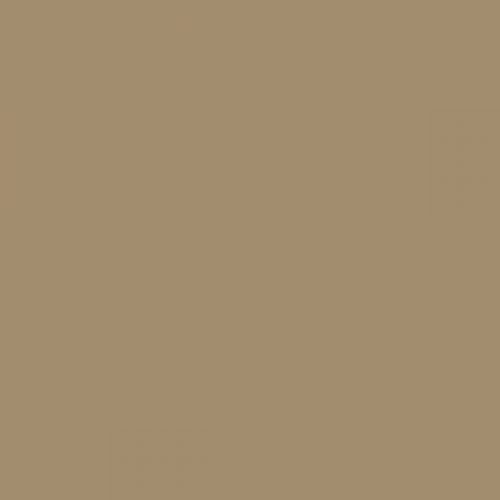 RAL 080 60 20  Spelt grain brown Aerosol Spray Paint 1K/2K 400ml