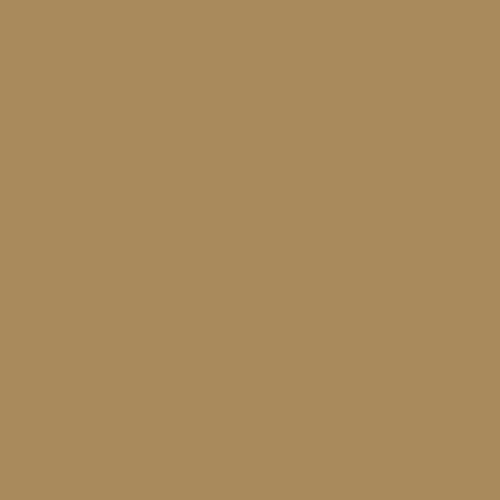 RAL 080 60 30  Golden quartz ochre Aerosol Spray Paint 1K/2K 400ml
