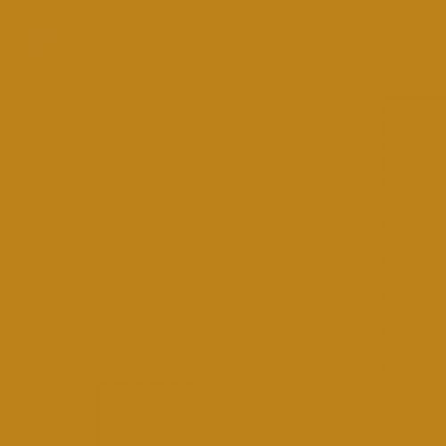 RAL 080 60 70  Yellow gold Aerosol Spray Paint 1K/2K 400ml