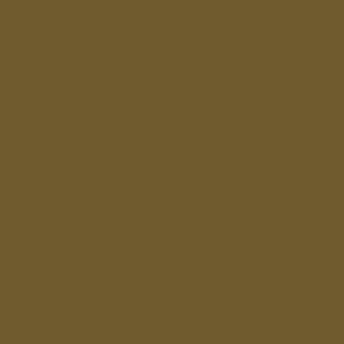 RAL 085 40 30  Moss brown Aerosol Spray Paint 1K/2K 400ml