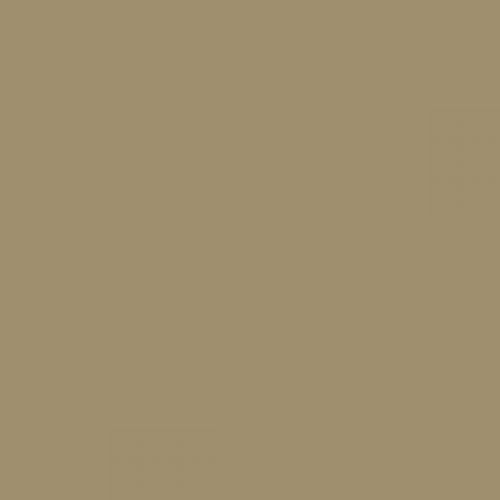 RAL 085 60 20  Pond green Aerosol Spray Paint 1K/2K 400ml