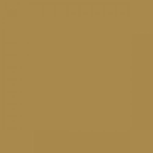 RAL 085 60 40  Lichen green Aerosol Spray Paint 1K/2K 400ml