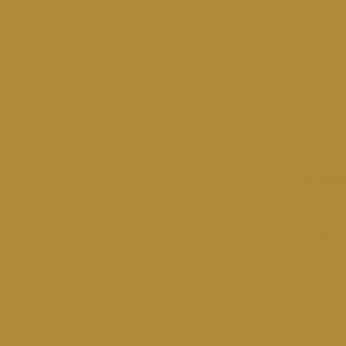 RAL 085 60 50  Mineral umber Aerosol Spray Paint 1K/2K 400ml