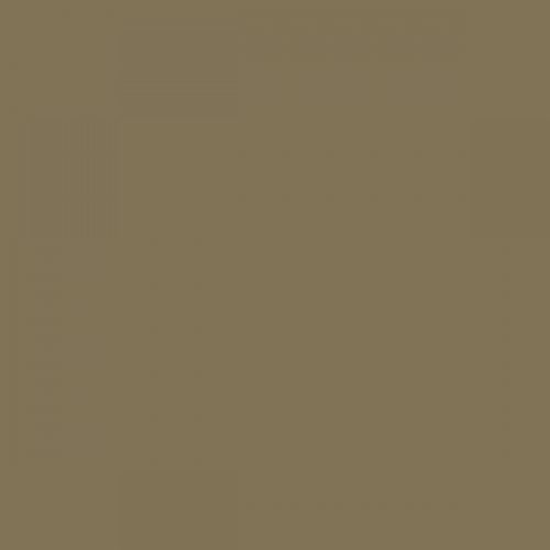 RAL 095 50 20  Cabbage green Aerosol Spray Paint 1K/2K 400ml