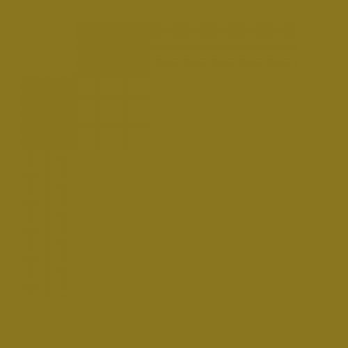 RAL 095 50 50  Artichoke green Aerosol Spray Paint 1K/2K 400ml