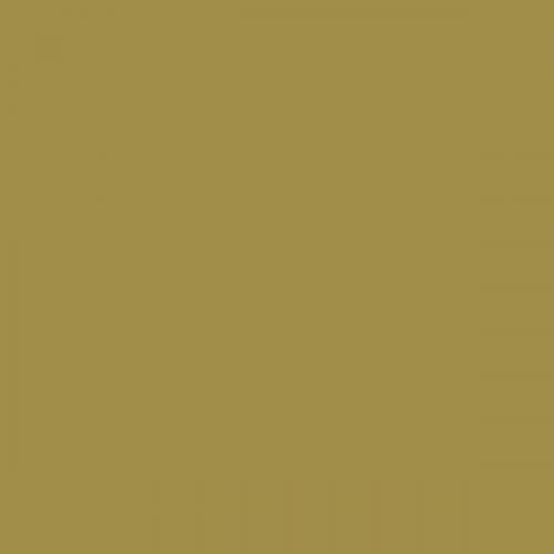 RAL 095 60 40  Grape green Aerosol Spray Paint 1K/2K 400ml