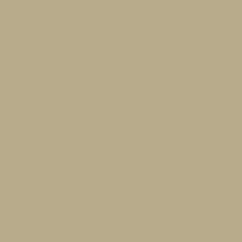 RAL 095 70 20  Crocodile green Aerosol Spray Paint 1K/2K 400ml