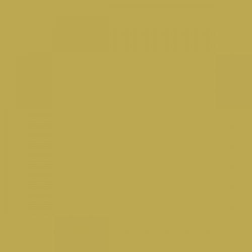 RAL 095 70 50  Star fruit yellow green Aerosol Spray Paint 1K/2K 400ml