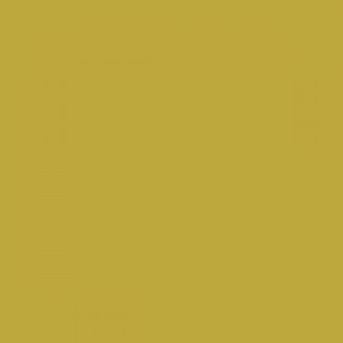 RAL 095 70 60  Papaya yellow green Aerosol Spray Paint 1K/2K 400ml