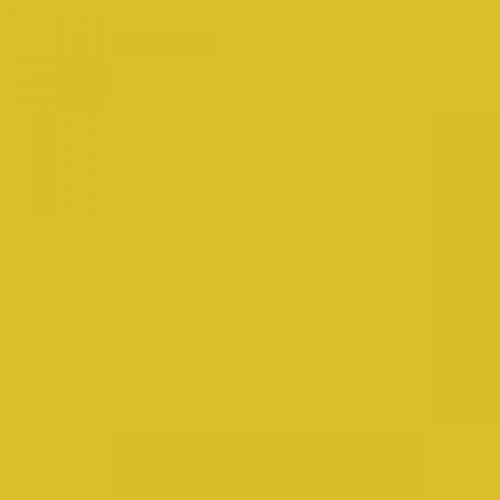 RAL 095 80 80   Sorbet yellow  Aerosol Spray Paint 1K/2K 400ml