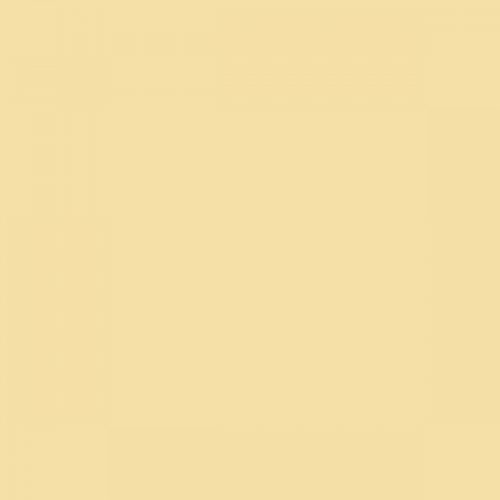 RAL 095 90 30  Lemon ice cream yellow Aerosol Spray Paint 1K/2K 400ml