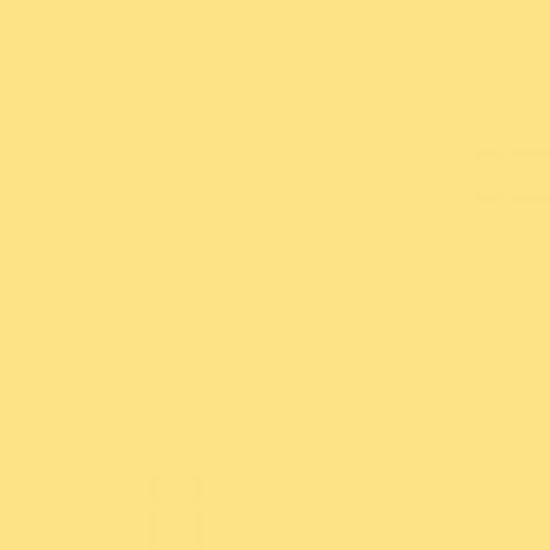 RAL 095 90 50  Luminescent yellow Aerosol Spray Paint 1K/2K 400ml